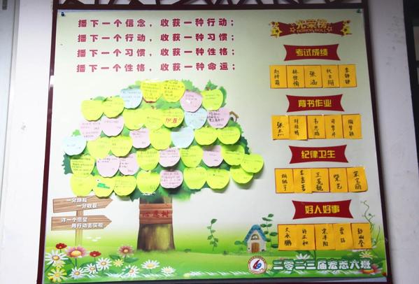 班级成长树 班级成长树